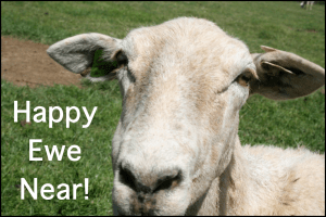 Happy Ewe Near